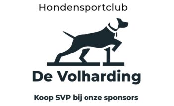 ledverlichting-hondensportclub